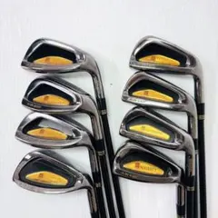 2025年最新】マルマン マジェスティ アイアン レディースの人気