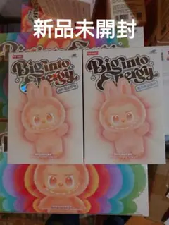 【正規品・未開封】 POPMART Big into Energy 2箱 ラブブ