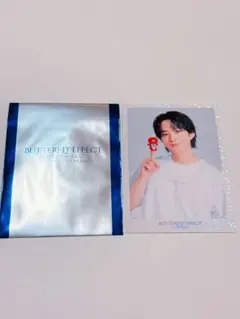 【匿名配送】BUTTERFLY EFFECTフォトカード 澤本夏輝 シークレット