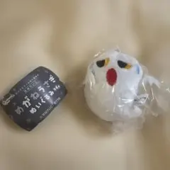 めがねうさぎぬいぐるみ★第4弾★マスコット　どこだー