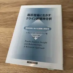 臨床現場に生かすクライン派精神分析 : 精神分析における洞察と関係性