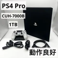 【すぐ遊べるセット】PS4 Pro CUH-7000B ブラック本体 1TB