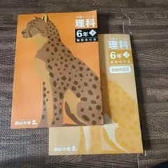 Item thumbnail for item e56ee8ad-9df0-4cf9-9ca3-4a1e9b8c4d53