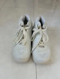 Item thumbnail for item 5f867d6f-5c7c-4ce2-b531-e37c14dc77ac