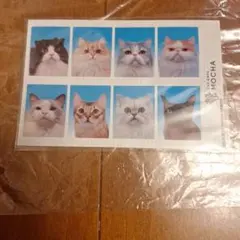 2026年最新】猫カフェmochaの人気アイテム - メルカリ