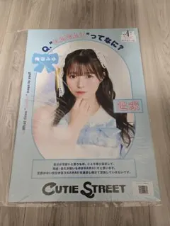 Item thumbnail for item ae2ab56d-bbbf-4776-bfb6-b9dba50207a9