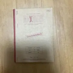 Stray Kids MAXIDENT CHANGBIN