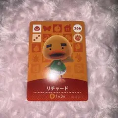 あつ森 amiibo リチャード