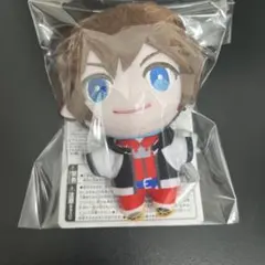キングダムハーツ ソラ　ぬいぐるみ マスコット ナムコ限定