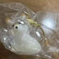 うちの子けだまだま　犬　柴犬×2