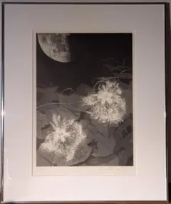 ◇長谷川 潔 銅版画2点美品「 瓶に刺した種草 」「静物画・仮装したる