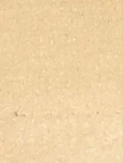 ポケモンカード 11 枚 ARまとめ売り　美品 ミュウ/ミュウツー　平石様専用