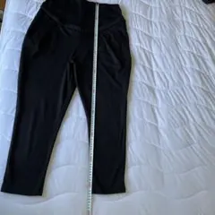 Item thumbnail for item 0ca69e74-2cb1-40e4-8db3-3edc1d13cc5f