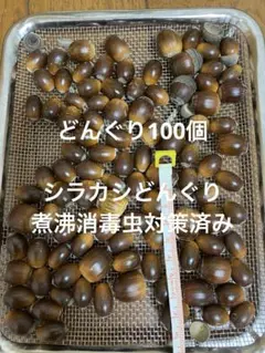 Item thumbnail for item ab7d276a-f9b9-44bc-a403-1b43b1a42f93