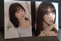 ReVIA チェウォン　リーフレット　2枚セット