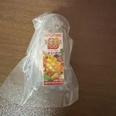 KAGOME 野菜生活100 マンゴーサラダ