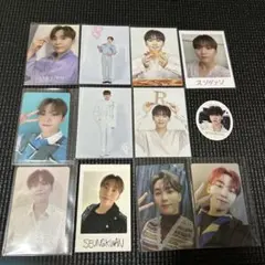 SEVENTEEN スングァントレカ 11枚 シール1