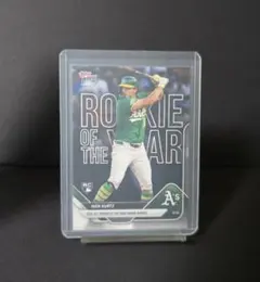 Item thumbnail for item 5fa609f5-fedd-4aa7-ae8c-d909b191cce7