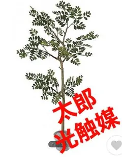 光触媒　人工観葉植物　ウォールグリーン　フェイクグリーン　ジョイントトネリコ