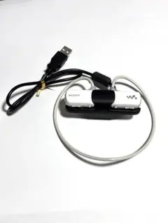SONY ウォークマン Wシリーズ NWD-W202 - メルカリ