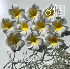 プリメリア　白　ウェルカムスペース　飾り　インテリア　サーフ　ハワイ　造花　南国