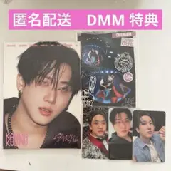 straykids スキズ KARMA DMM 特典トレカ チャンビン