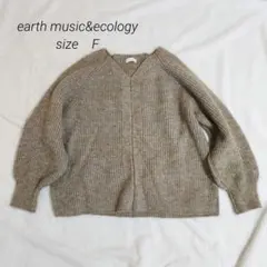 【美品】earth music&ecologyスリット畦ニットプルオーバー　F