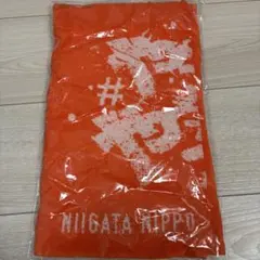 アルビレックス新潟　入場特典タオルのサムネイル