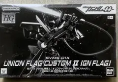 HG 1/144 グラハム専用ユニオンフラッグカスタムII (GNフラッグ)