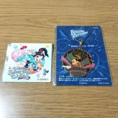 ディズニー 20周年 チャーム ヴァネロペ ステッカー セット