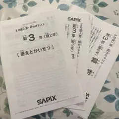 2026年最新】sapix 新3年 入室テストの人気アイテム - メルカリ