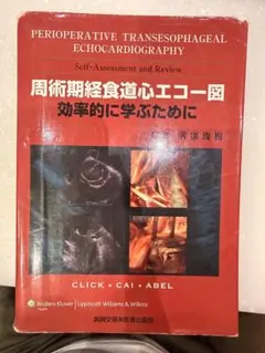 第43回 経食道心エコー講習会 TEE Seminar DVD - メルカリ