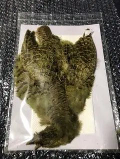 Item thumbnail for item da9ba1fe-5e08-49f1-a8b2-9892ea659af8