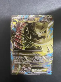 2025年最新】mハガネールex srの人気アイテム - メルカリ