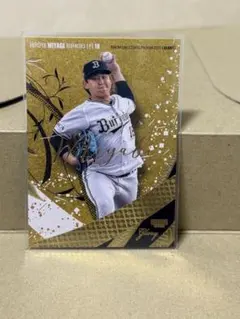 Item thumbnail for item 64055fa8-3802-49af-9956-b5094d60a957