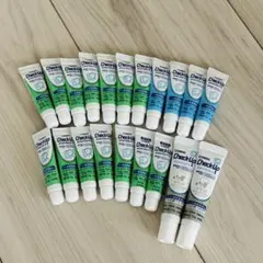 라이온 체크업, 표준 노선 관리