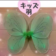 羽　ティンカーベル キッズ コスプレ 妖精 仮装　緑　ディズニー　イベント