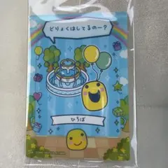 たまごっちのプチプチおみせっちしり～ず カード＆フレーム まるっち