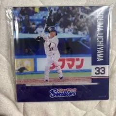 ヤクルトスワローズ