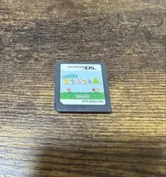 おいでよどうぶつの森