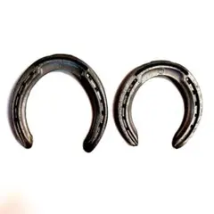 競争馬取外し 蹄鉄10個（簡易磨き済み） D - メルカリ