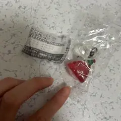 PEANUTS スヌーピー めじるしアクセサリー FUNNYver ガチャガチャ