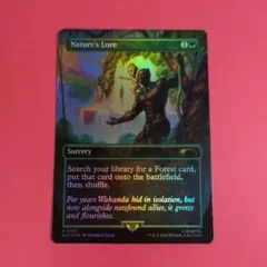 MTG 自然の知識【FOIL英語版】SECRETLAIR