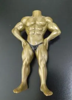 ビルダー 筋骨隆々 マッチョフィギュア