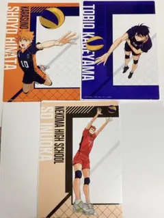 ハイキュー　クリアビジュアルポスター　日向翔陽　影山飛雄　犬岡走