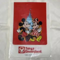 東京ディズニーランド ミッキーマウス ミニー クリアファイル Disney 雑貨