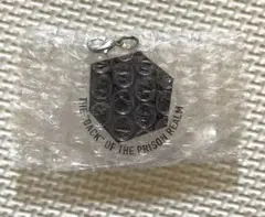 一番くじ 呪術廻戦 死滅回游 ～壱～　M賞 アクリルチャーム