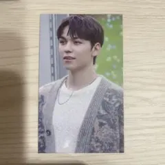 SEVENTEEN ディノRIGHT HERE 来場者限定 東京 トレカ