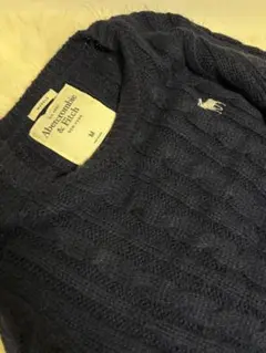 Abercrombie & Fitch ネイビー ニット M