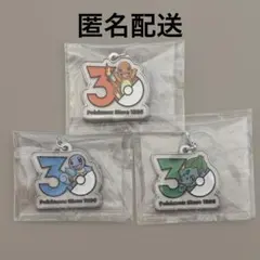 ポケモン 30周年 メタルチャーム 3点セット
